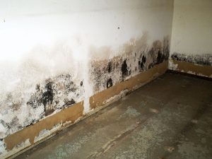 water-damage-mold