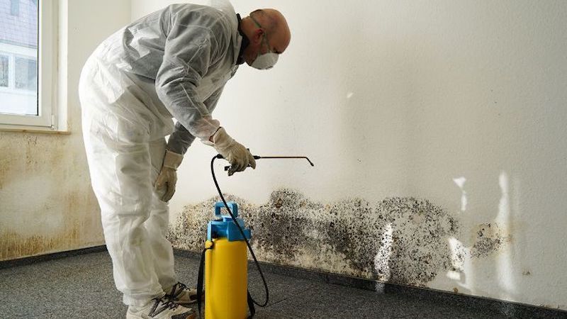 Mold Removal in Milford, OH (536)