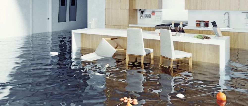 Water Damage Cleanup in Greendale, IN (2576)